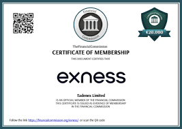 Understanding Exness Partner Commission How to Maximize Your Earnings