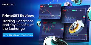 Unlock Trading Potential with the PrimeXBT Platform